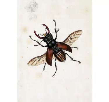 sticker insecte - TenStickers