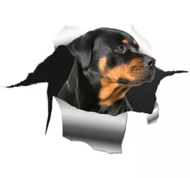 Sticker Animal de Compagnie Autocollant trou rottweiller - TenStickers
