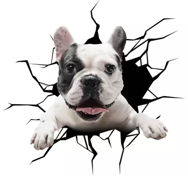 Sticker voiture chien vitre cassée personnalisable - TenStickers