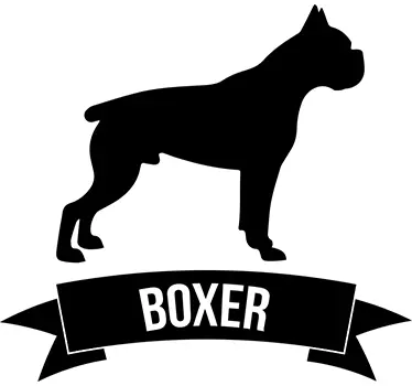 sticker chien boxer - TenStickers
