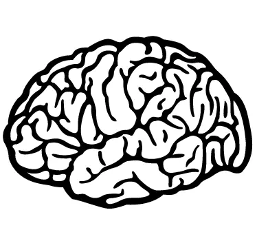 Sticker dessin cerveau - TenStickers