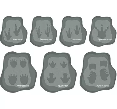 Sticker empreintes dinosaures - TenStickers