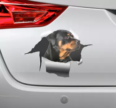 Sticker Animal de Compagnie Autocollant trou rottweiller - TenStickers
