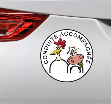 Sticker voiture conduite accompagnée drôle - TenStickers