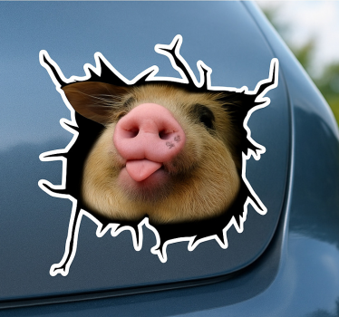 Sticker voiture cochon rigolo 3d - TenStickers