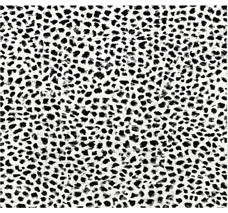 Tapis vinyle salle a manger imprimé léopard monochrome - TenStickers