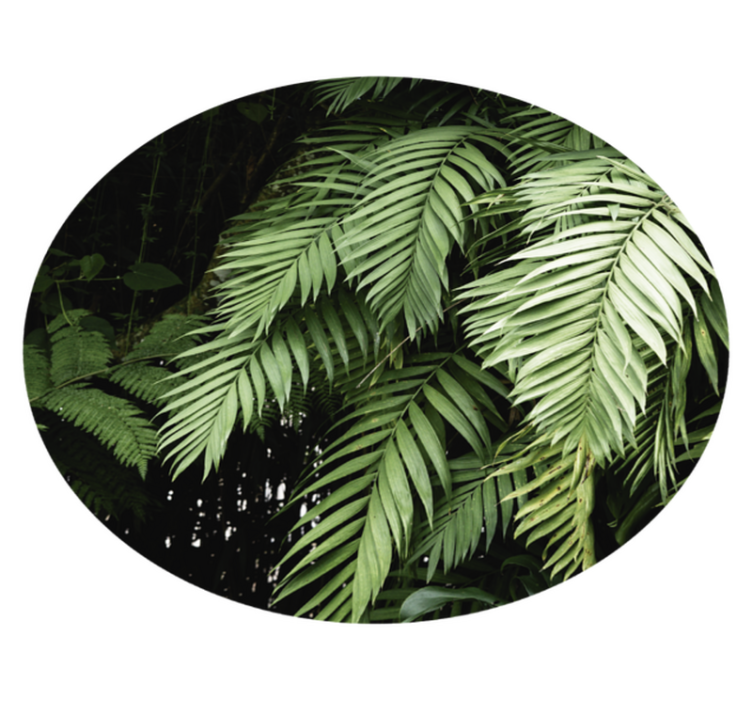 tapis vinyle chambre Plantes de la jungle - TenStickers