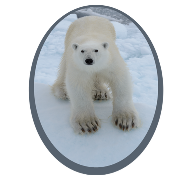 Tapis vinyle animal Ours polaire dans la neige - TenStickers