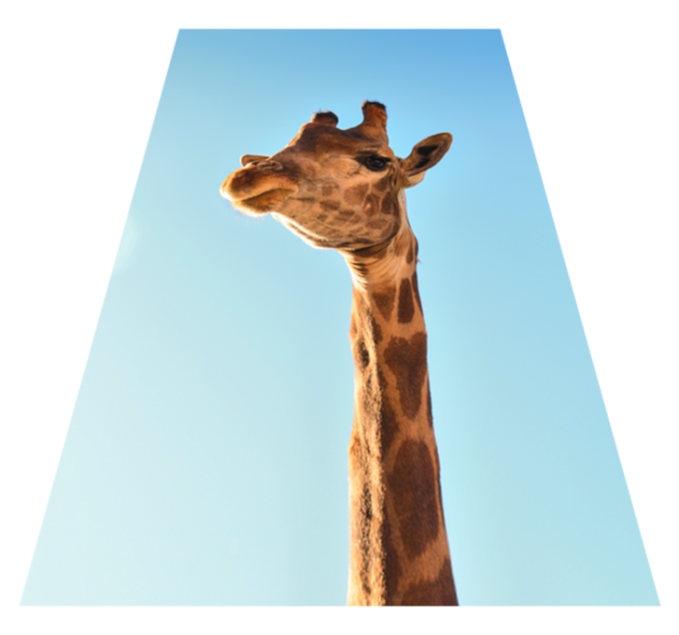 Tapis vinyle animal tête de girafe - TenStickers