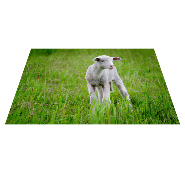 Tapis vinyle animal agneau debout - TenStickers