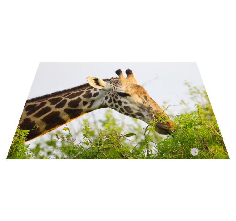 Tapis vinyle animal girafe mangeant des légumes verts - TenStickers