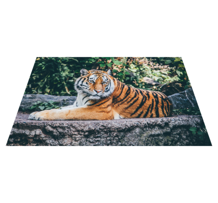 Tapis vinyle animal tigre majestueux couché - TenStickers