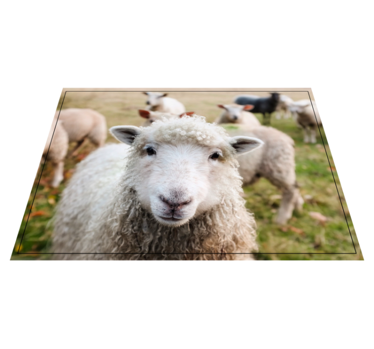 Tapis vinyle animal visage de berger bouclé - TenStickers