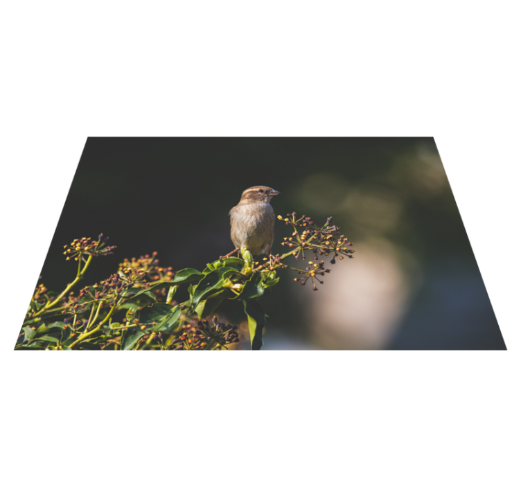 Tapis vinyle nature charmant oiseau perché - TenStickers
