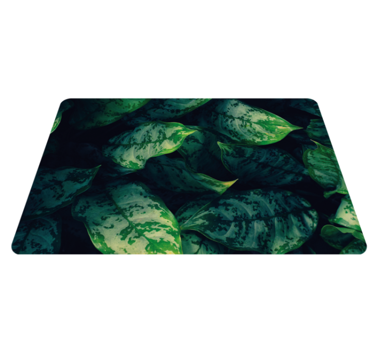 Tapis vinyle salon Feuilles de maranta - TenStickers