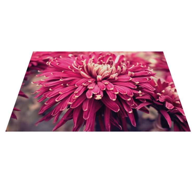 tapis vinyle salon Conception de grandes fleurs - TenStickers
