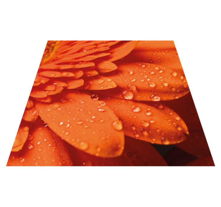 Tapis vinyle fleurs et plantes pétales orange vif - TenStickers