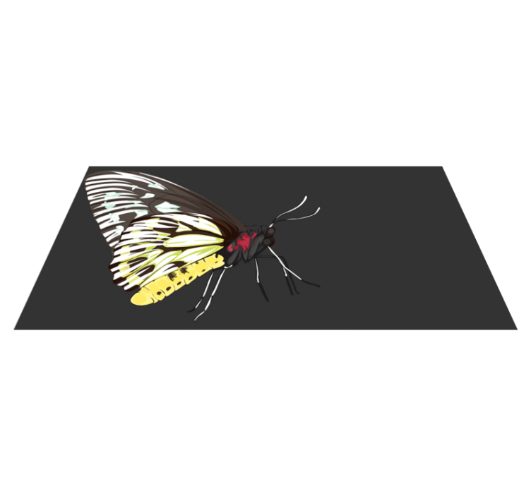 Tapis vinyle nature imagerie de papillons - TenStickers