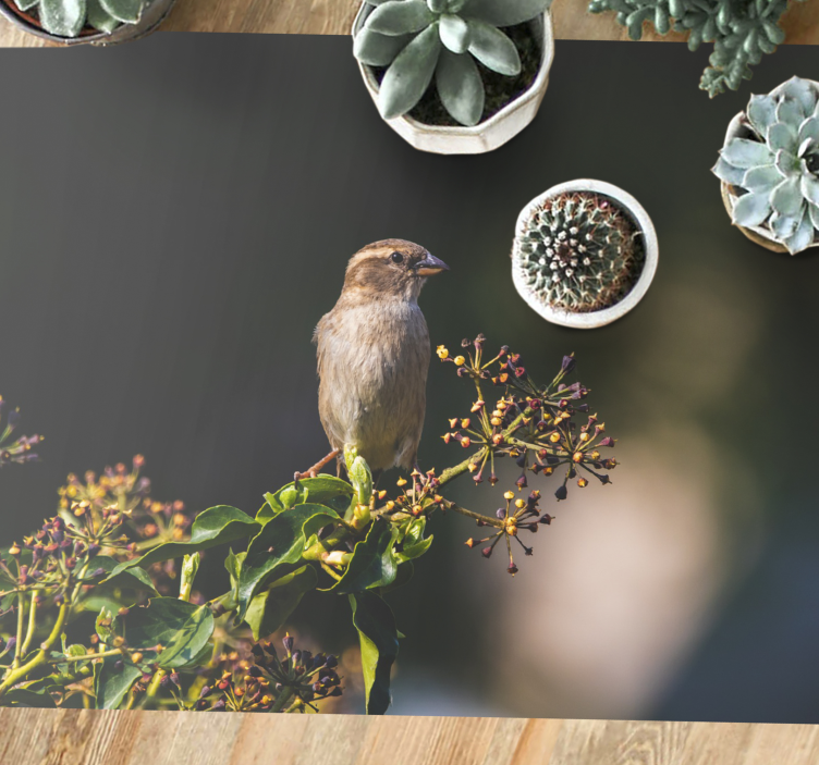 Tapis vinyle nature charmant oiseau perché - TenStickers