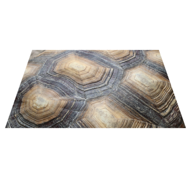 Tapis vinyle pour chambre carapace de tortue - TenStickers