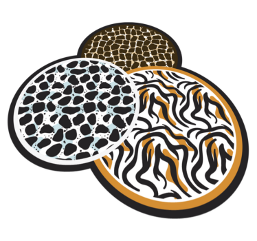 Tapis vinyle animal trio de motifs safari - TenStickers