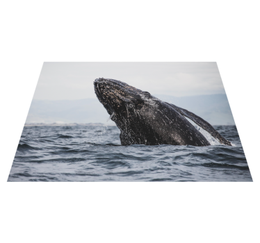 Tapis vinyle forme animal Baleine animale dans la mer - TenStickers