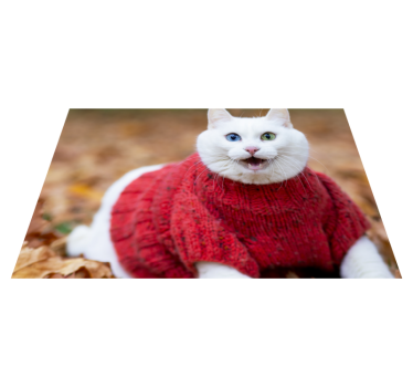 Tapis vinyle forme animal Animal mignon chat souriant - TenStickers