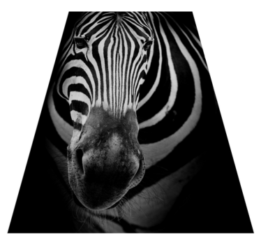 tapis salon Visage de zèbre - TenStickers