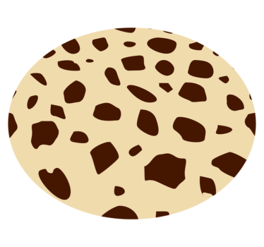 Tapis vinyle animal chaleur tachetée - TenStickers