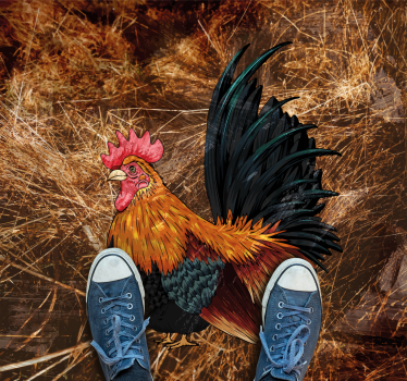 Tapis vinyle animal coq vibrant en couleur - TenStickers