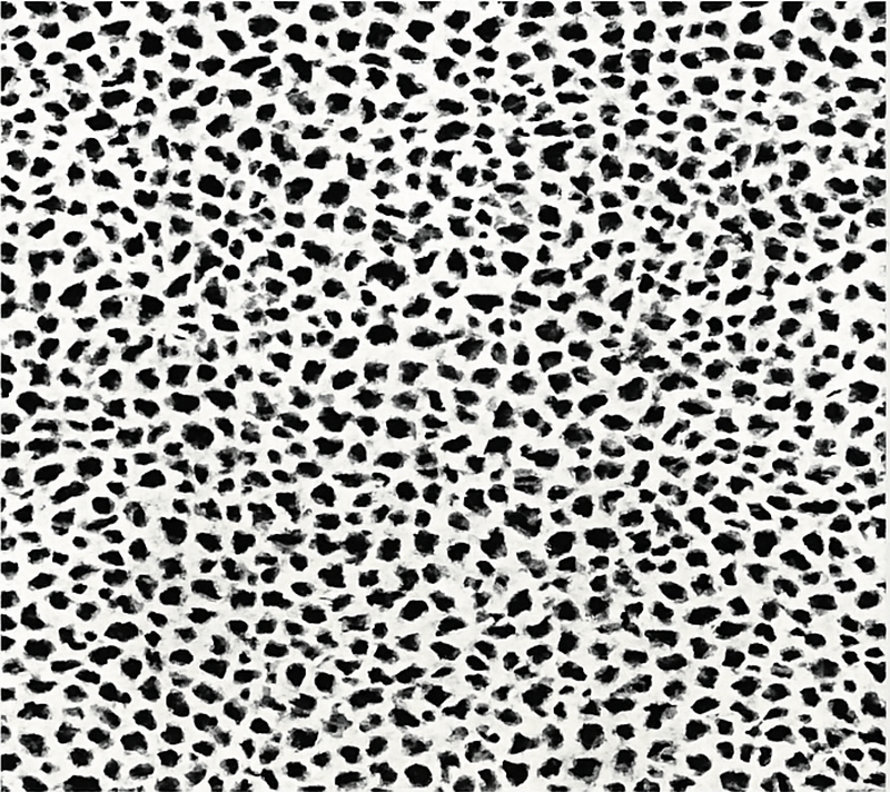 Tapis vinyle salle a manger imprimé léopard monochrome - TenStickers