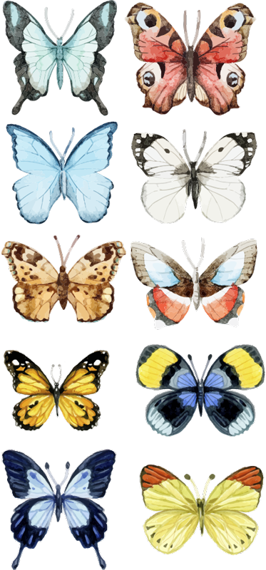 Tapis vinyle animal dix papillons colorés - TenStickers