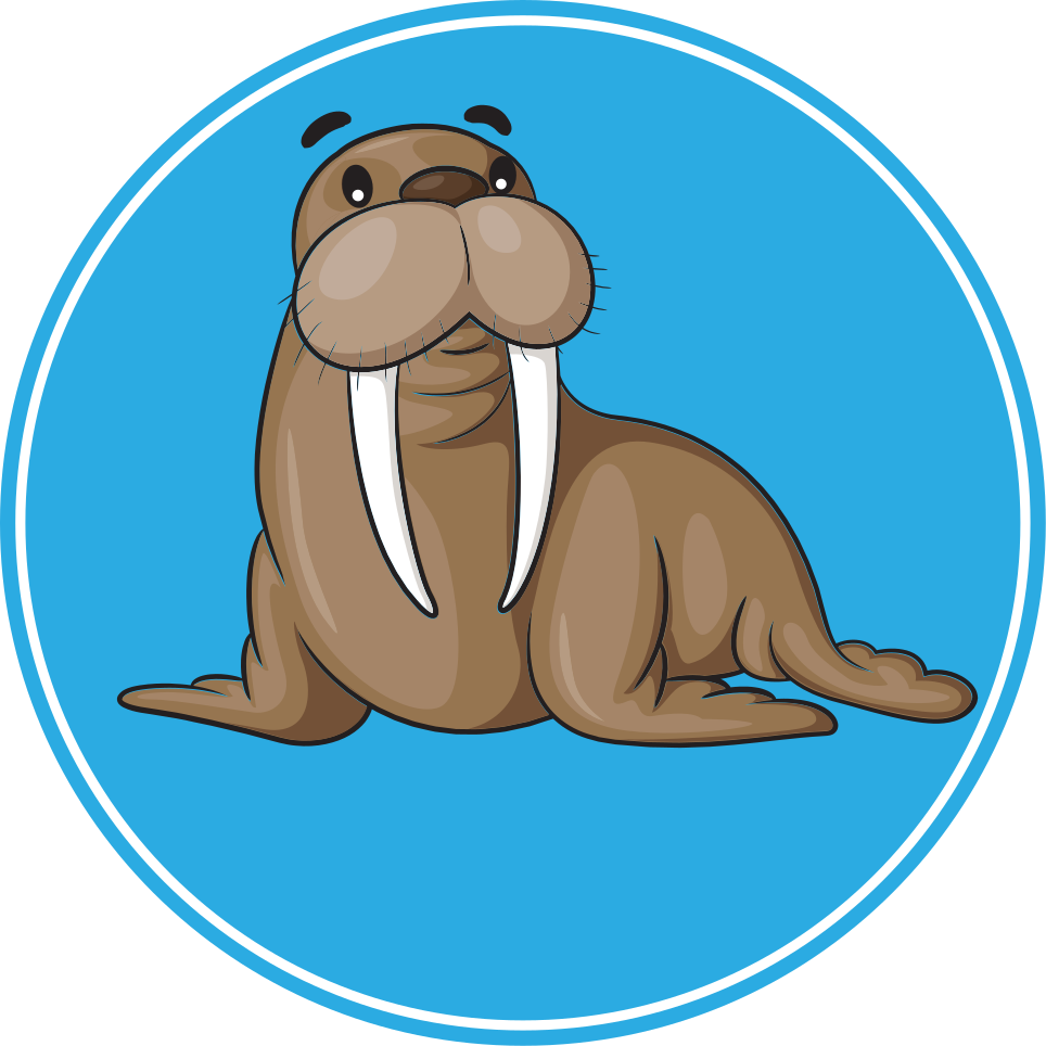 Tapis vinyle animal personnage de morse mignon - TenStickers