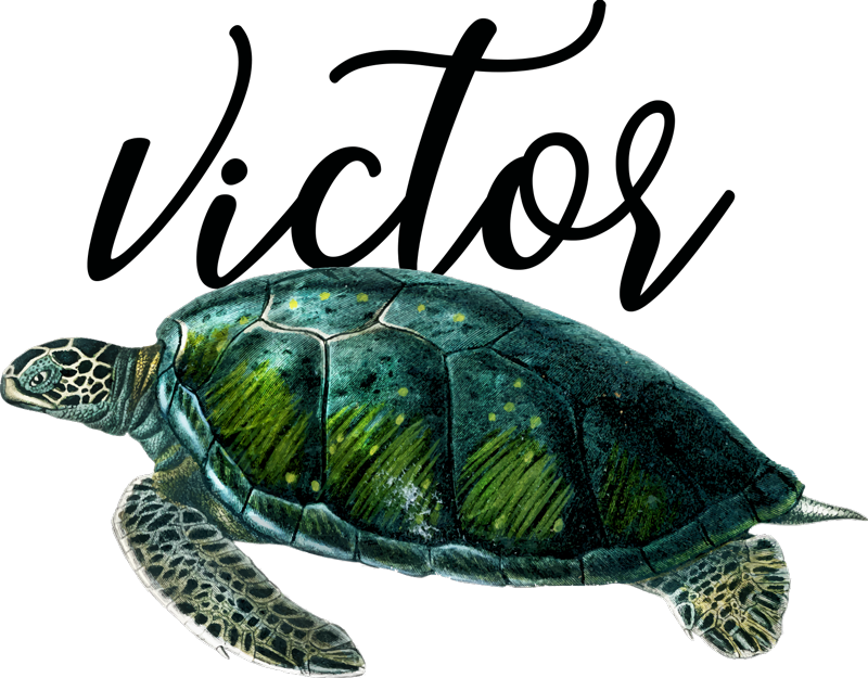 Tapis vinyle animal design de tortue personnalisable - TenStickers