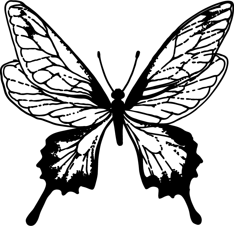 Tapis vinyle animal contour de papillon gracieux - TenStickers