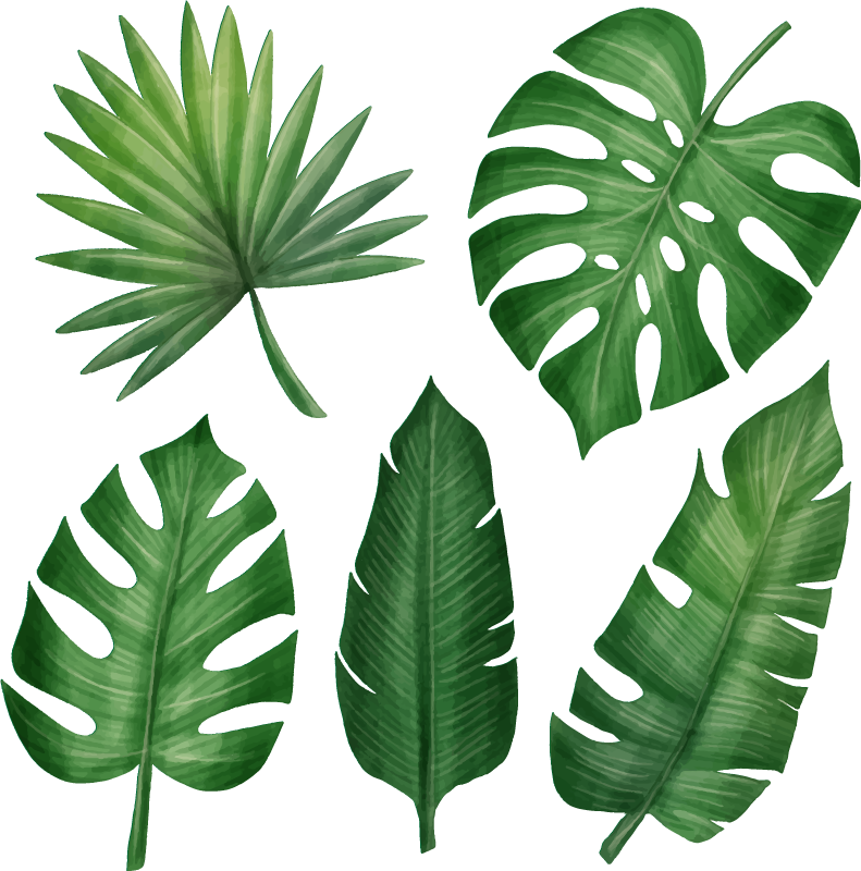 Tapis vinyle fleurs et plantes feuilles tropicales réalistes - TenStickers