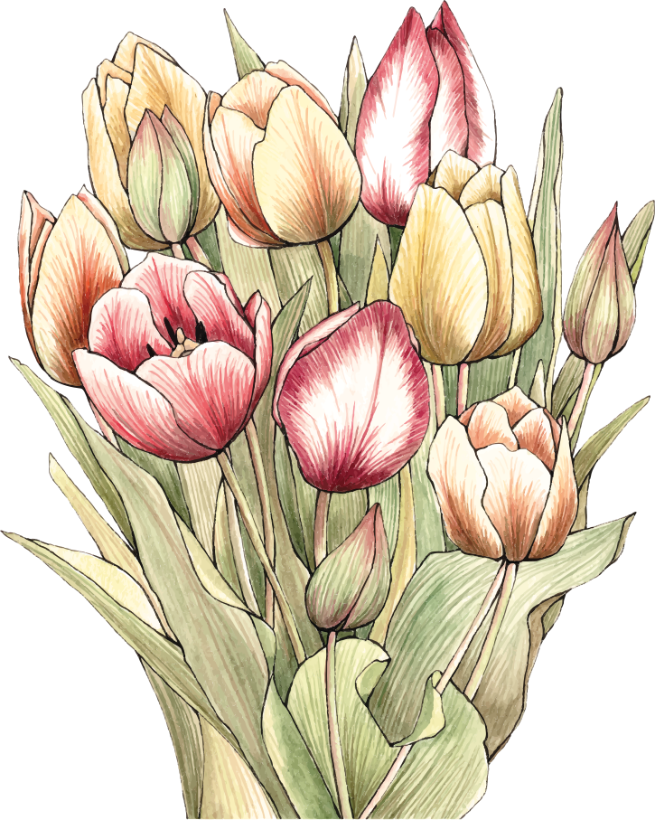 Tapis vinyle fleurs et plantes bouquet de tulipes colorées - TenStickers