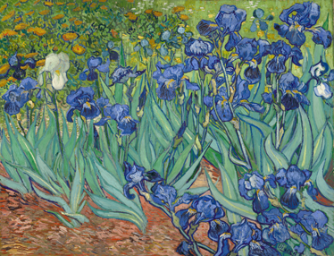 Tapis vinyle fleurs et plantes van gogh fleurs - TenStickers