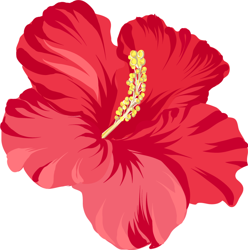 Tapis vinyle fleurs et plantes hibiscus rouge - TenStickers