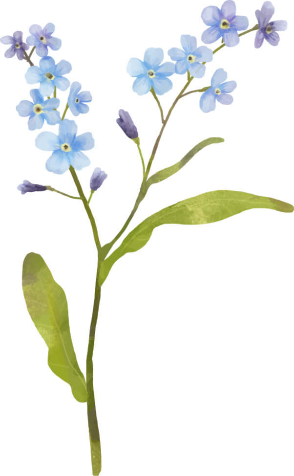 Tapis vinyle fleurs et plantes plante bleue gracieuse - TenStickers
