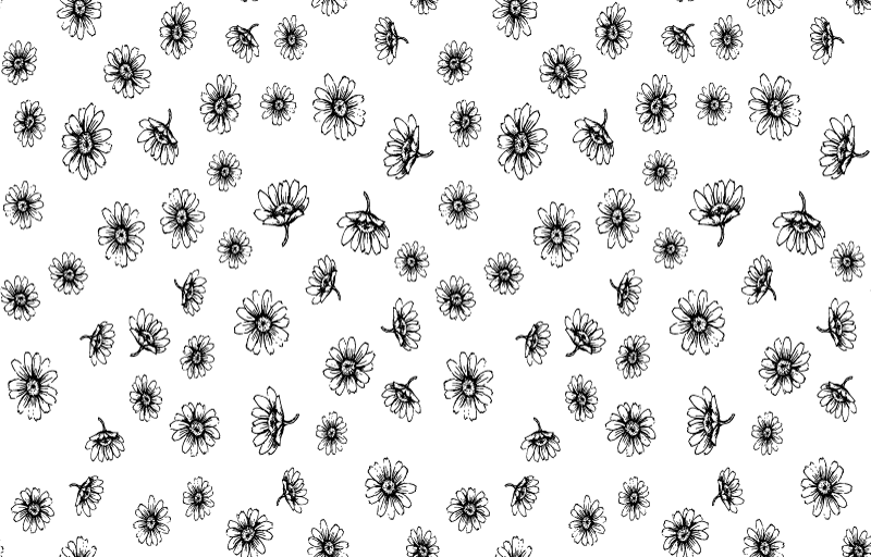 Tapis vinyle fleurs et plantes contour de marguerites - TenStickers