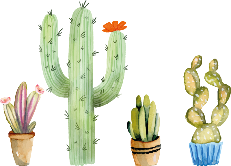 Tapis vinyle salle a manger ensemble de cactus - TenStickers