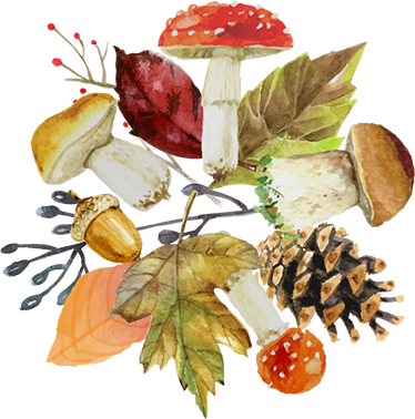 Tapis vinyle nature feuilles et fruits de forêt - TenStickers