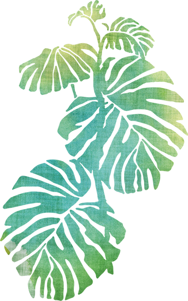 Tapis vinyle fleurs et plantes monstera deliciosa - TenStickers