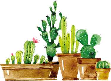 Tapis vinyle fleurs et plantes jardin de cactus maison - TenStickers