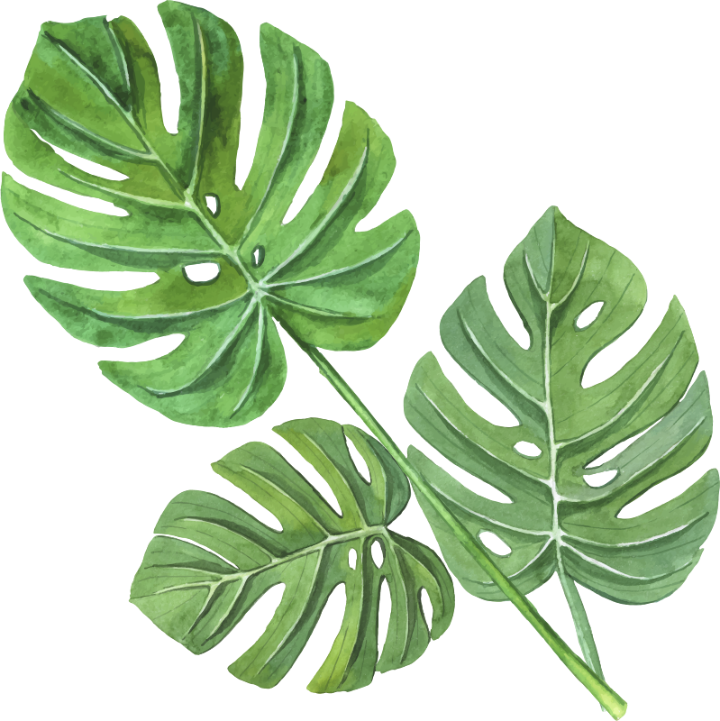 Tapis vinyle fleurs et plantes feuilles monstera aquarelle - TenStickers