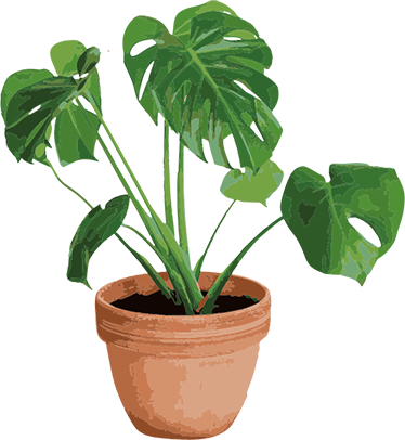 Tapis vinyle fleurs et plantes pot simple monstera - TenStickers