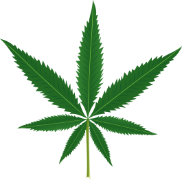 Tapis vinyle fleurs et plantes feuille de marijuana - TenStickers