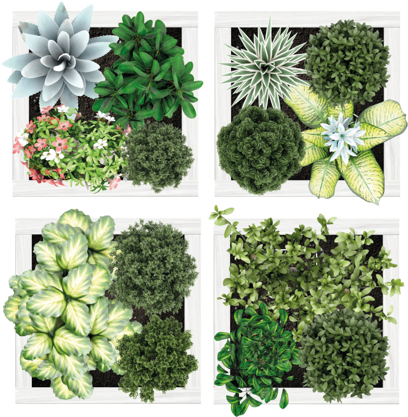 Tapis vinyle fleurs et plantes carreaux de jardin - TenStickers