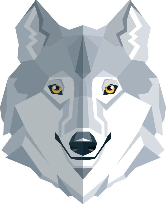 Tapis vinyle chambre design abstrait loup - TenStickers